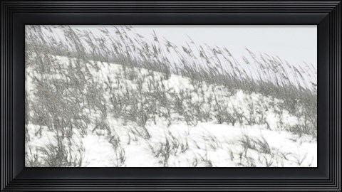 Framed Lush Dunes II Print