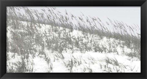 Framed Lush Dunes II Print