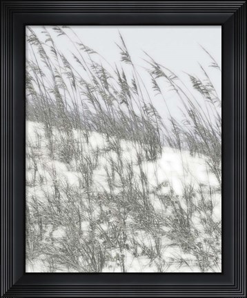 Framed Lush Dunes III Print