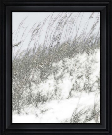Framed Lush Dunes IV Print
