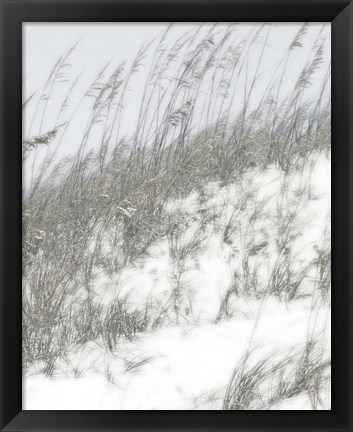 Framed Lush Dunes IV Print