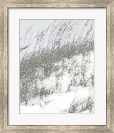 Framed Lush Dunes IV Print