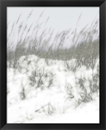 Framed Lush Dunes V Print