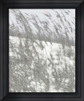 Framed Lush Dunes VI Print