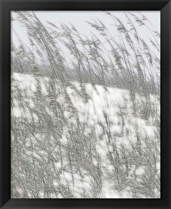 Framed Lush Dunes VI Print