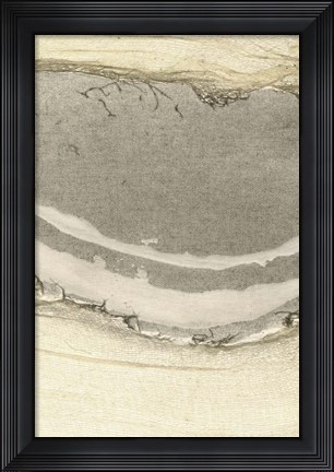 Framed Flux I Print