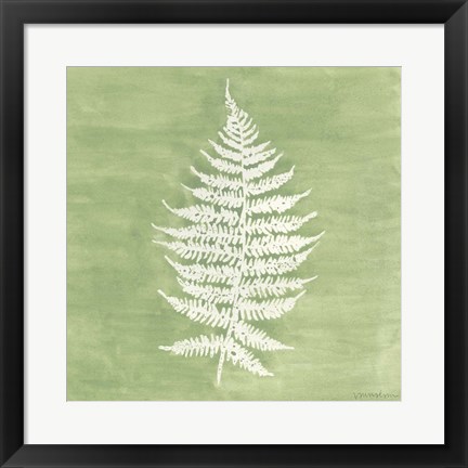 Framed Forest Ferns I Print