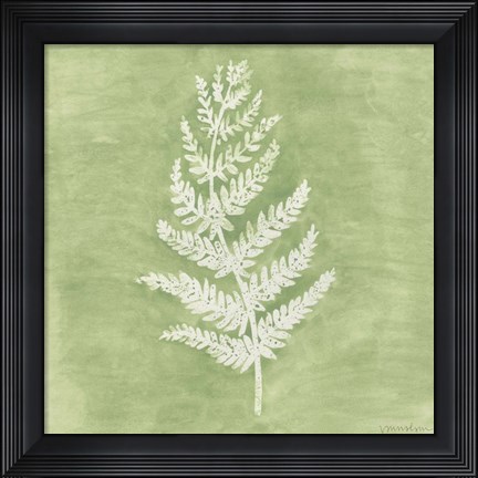 Framed Forest Ferns II Print