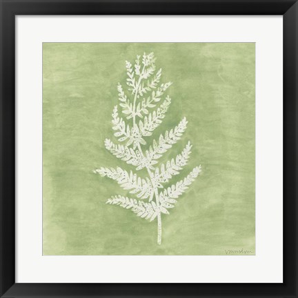 Framed Forest Ferns II Print