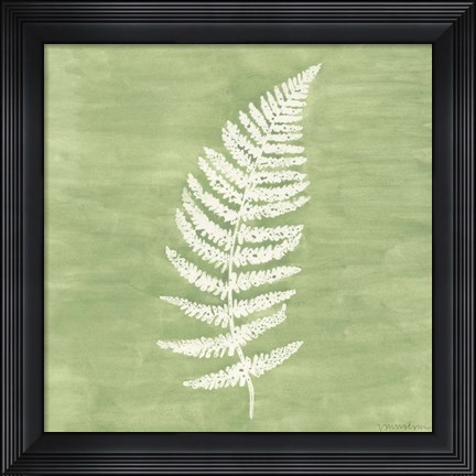 Framed Forest Ferns III Print