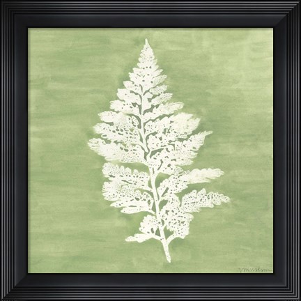 Framed Forest Ferns IV Print
