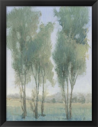 Framed Tree Grove II Print