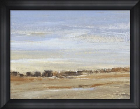 Framed Soft Afternoon IV Print