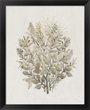 Framed Leaf Arrangement II Print
