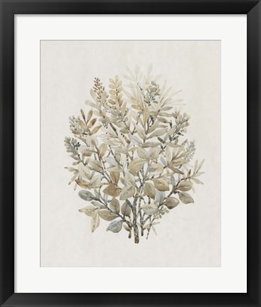 Framed Leaf Arrangement II Print