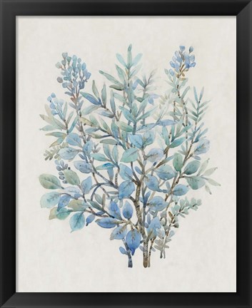 Framed Leaf Arrangement III Print