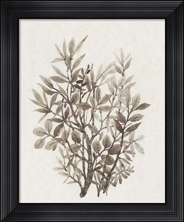 Framed Leaf Arrangement IV Print