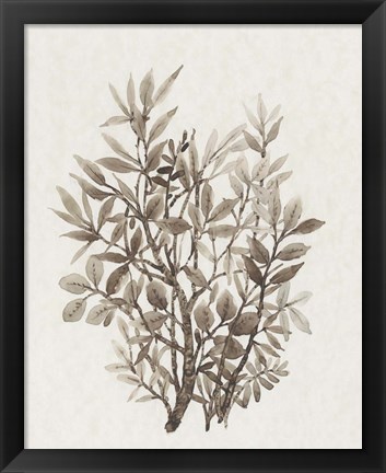 Framed Leaf Arrangement IV Print