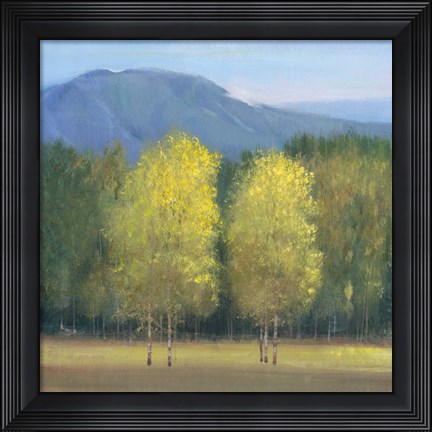 Framed Shaft of Light I Print