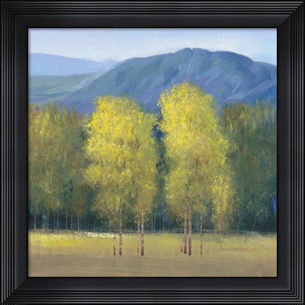 Framed Shaft of Light II Print