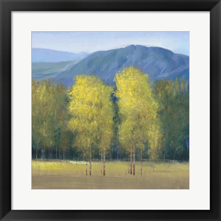 Framed Shaft of Light II Print