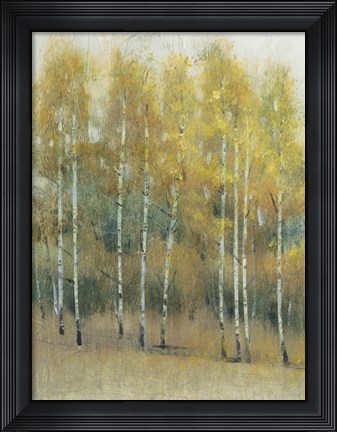 Framed Woodland Edge III Print