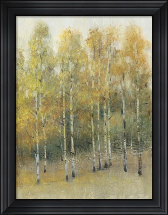 Framed Woodland Edge IV Print