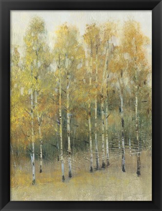 Framed Woodland Edge IV Print