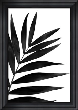 Framed Black Palms I Print