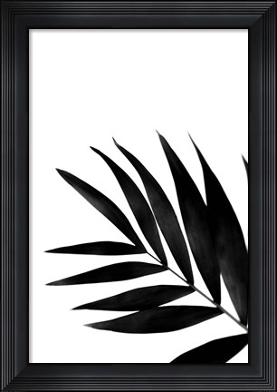 Framed Black Palms II Print