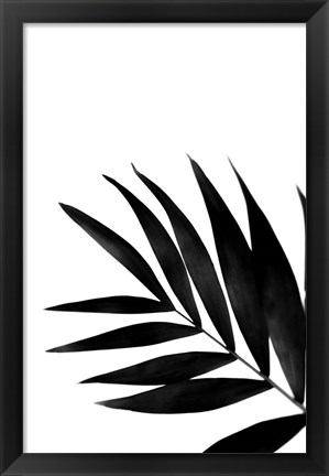 Framed Black Palms II Print