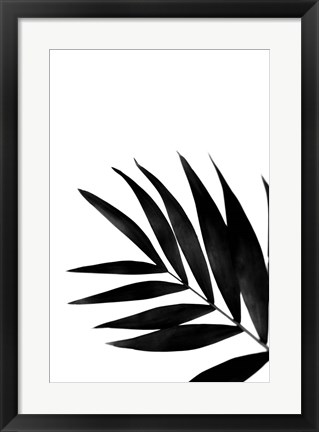 Framed Black Palms II Print