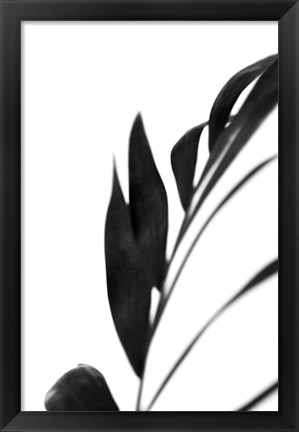 Framed Black Palms III Print