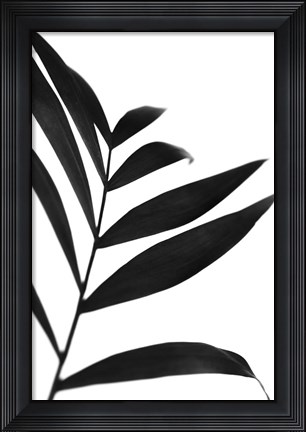 Framed Black Palms IV Print