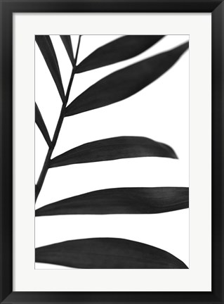 Framed Black Palms V Print