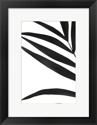 Framed Black Palms VI Print