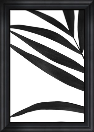 Framed Black Palms VI Print