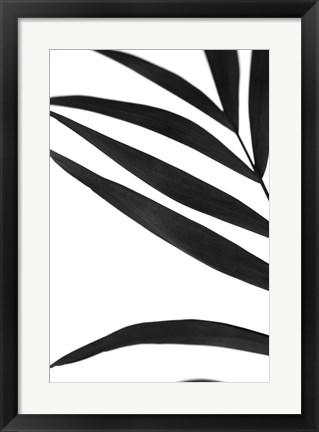 Framed Black Palms VI Print