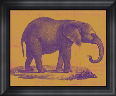 Framed Safari Pop I Print