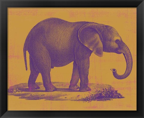 Framed Safari Pop I Print