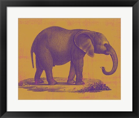 Framed Safari Pop I Print