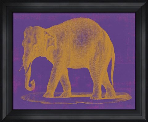 Framed Safari Pop II Print