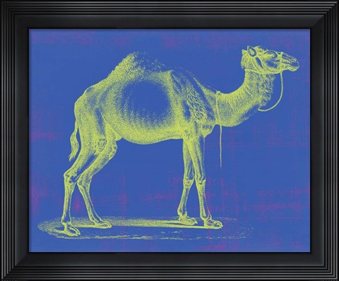 Framed Safari Pop III Print