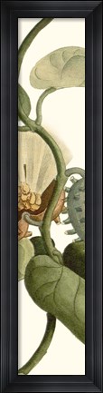 Framed Turpin Exotic Botanical V Print
