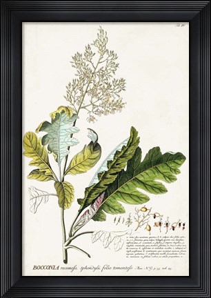 Framed Alluring Botamical I Print