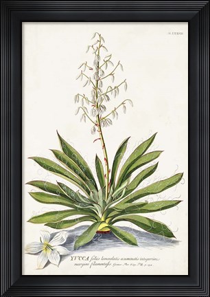 Framed Alluring Botamical III Print