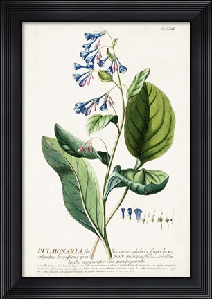 Framed Alluring Botamical V Print