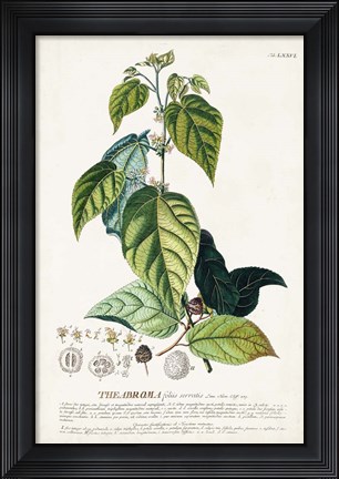 Framed Alluring Botamical VIII Print