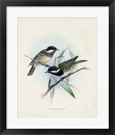 Framed Antique Birds VII Print