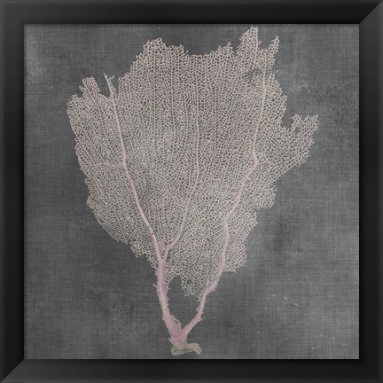 Framed Natural Sea Fan I Print